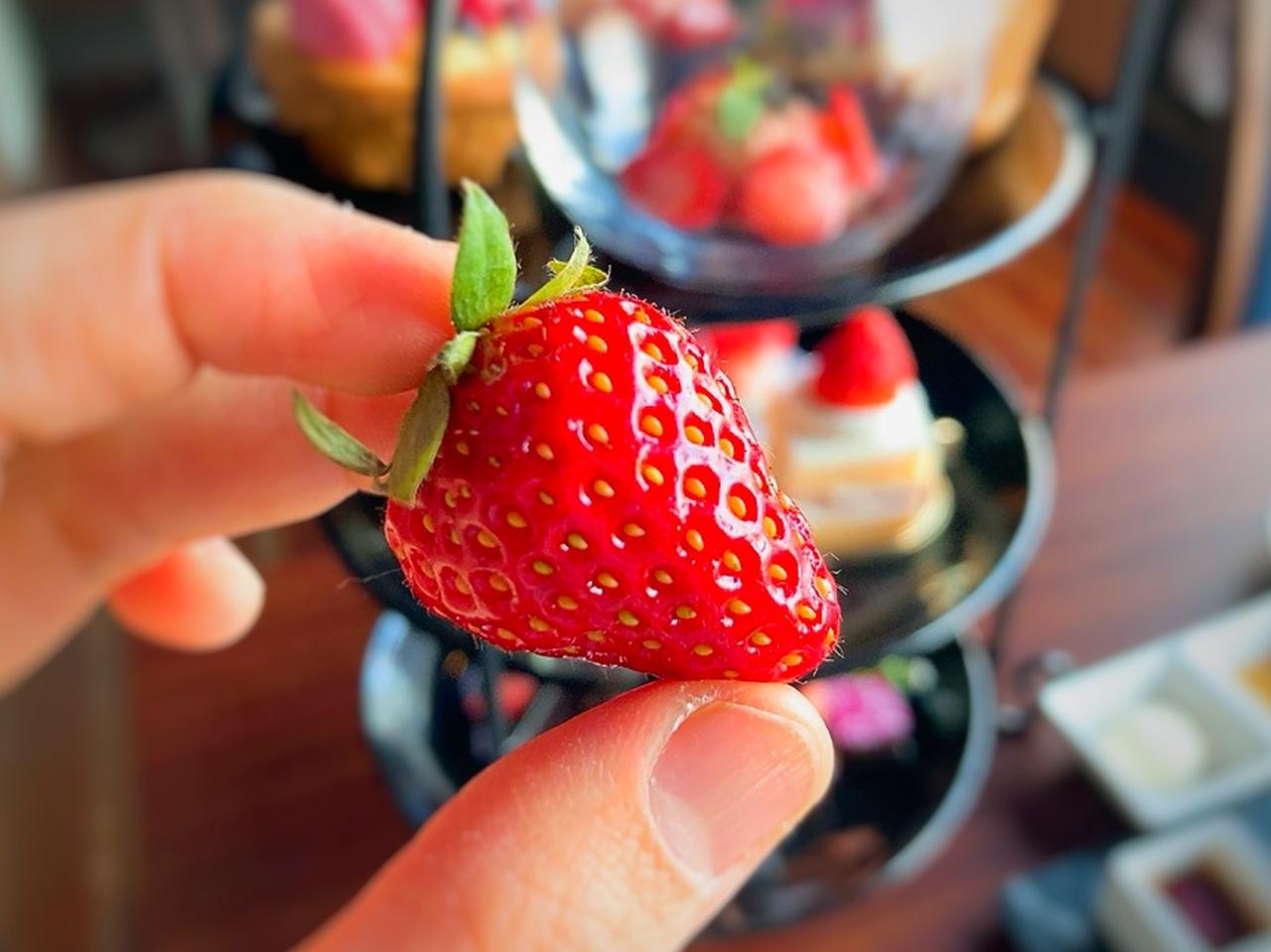 画像4: いちご尽くし＆絶景で、“大人リッチ”なアフタヌーンティーはいかが？都内でまだまだイルミも楽しめる、おすすめホテルはここ！