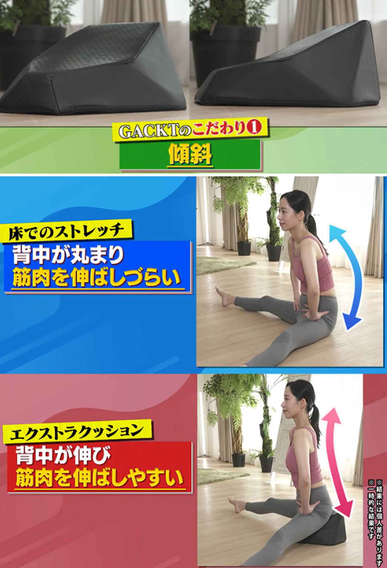 画像1: 全人類のキレイを加速♡GACKT氏監修“傾斜×振動”「エクストラクッション」