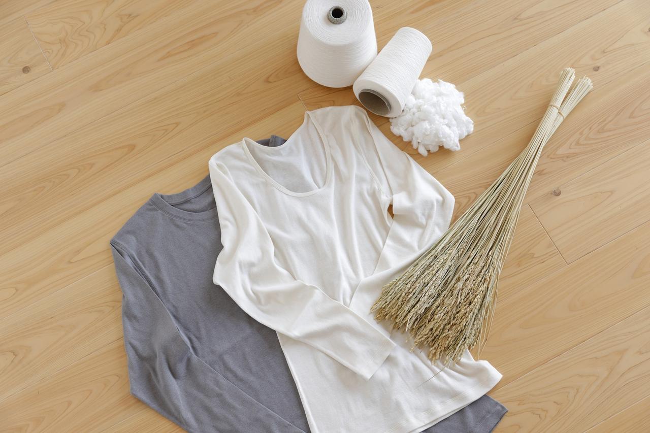 画像: 商品の特徴