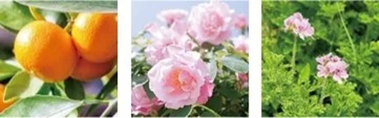 画像: そっと心に寄り添う花とハーブ、果実の香り