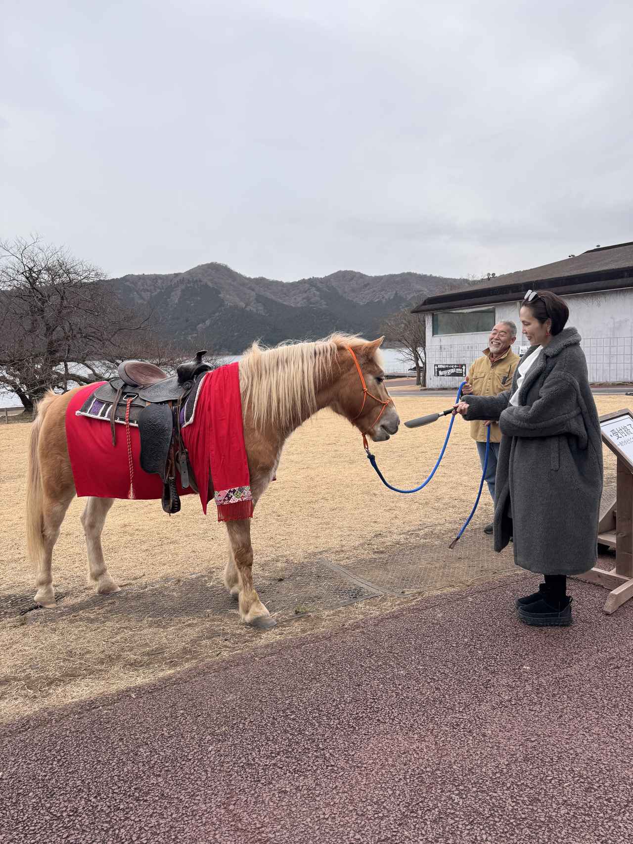 画像: 龍宮殿から徒歩数分にある『だっこしてZOO』