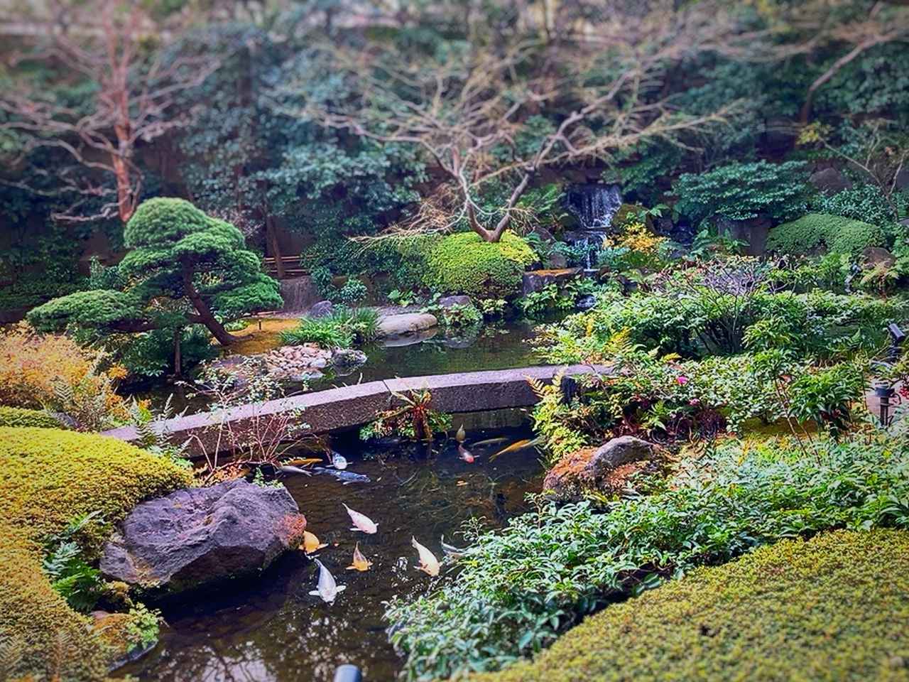 画像2: 日本庭園を眺めながら、季節の彩り膳＆和スイーツブッフェを堪能♡オトナな昼下がりを楽しむなら、ここ！