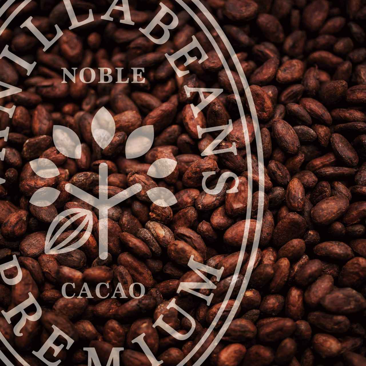 画像: VANILLABEANS PREMIUMステートメント