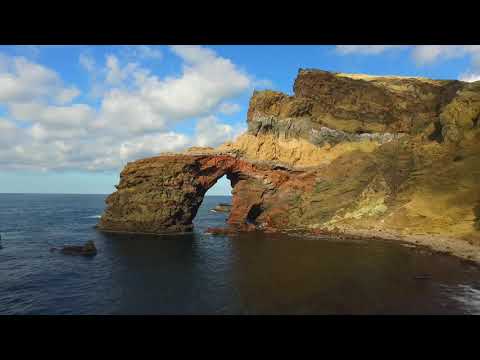 画像: 奇跡の海藻 西ノ島ツルアラメ youtu.be