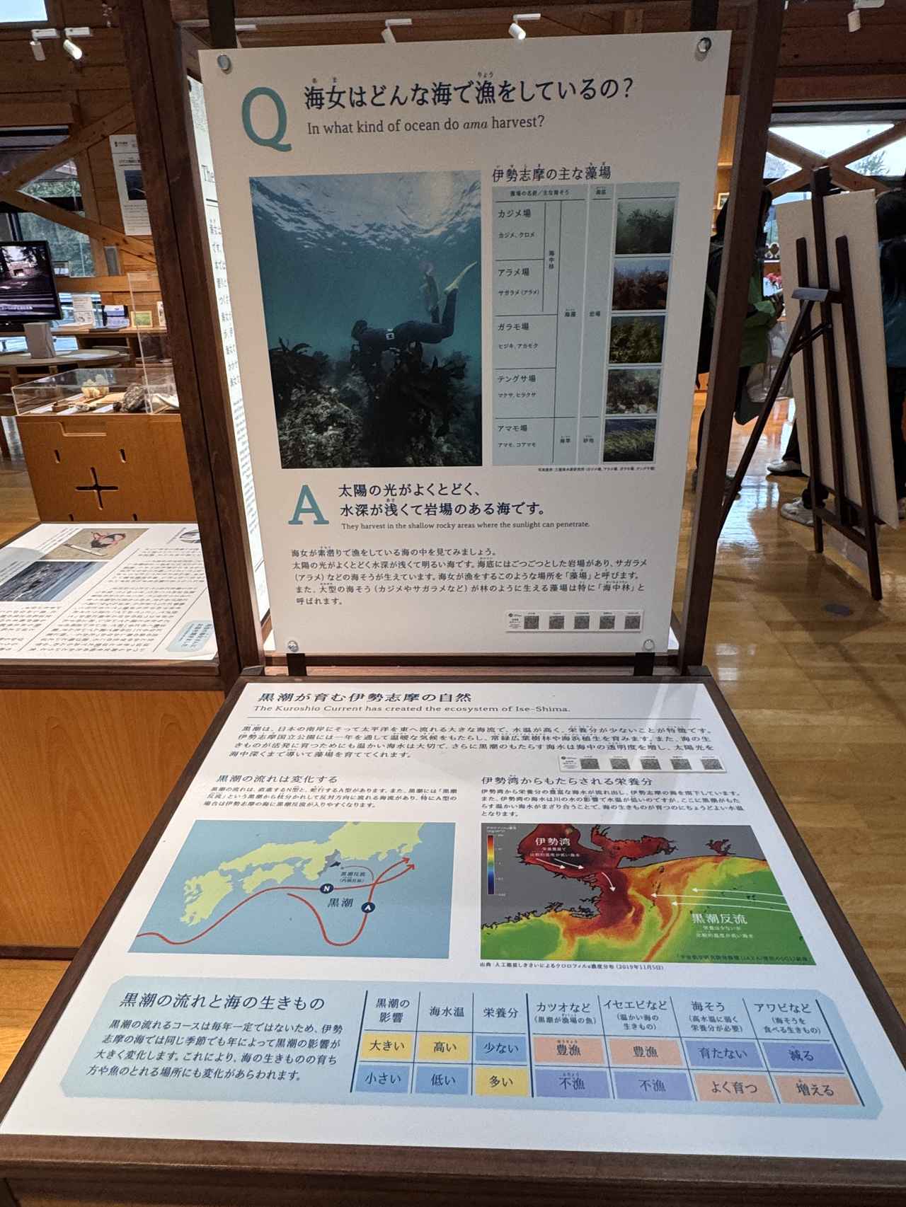 画像2: その自然には、“物語”がある♡海と暮らしと祈りが重なる日本の原風景に触れる旅【伊勢志摩国立公園】