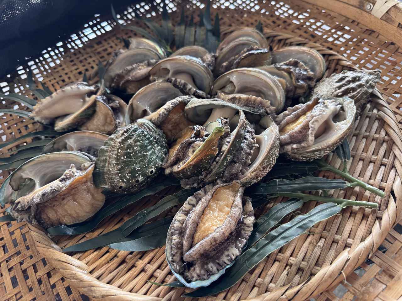 画像28: その自然には、“物語”がある♡海と暮らしと祈りが重なる日本の原風景に触れる旅【伊勢志摩国立公園】