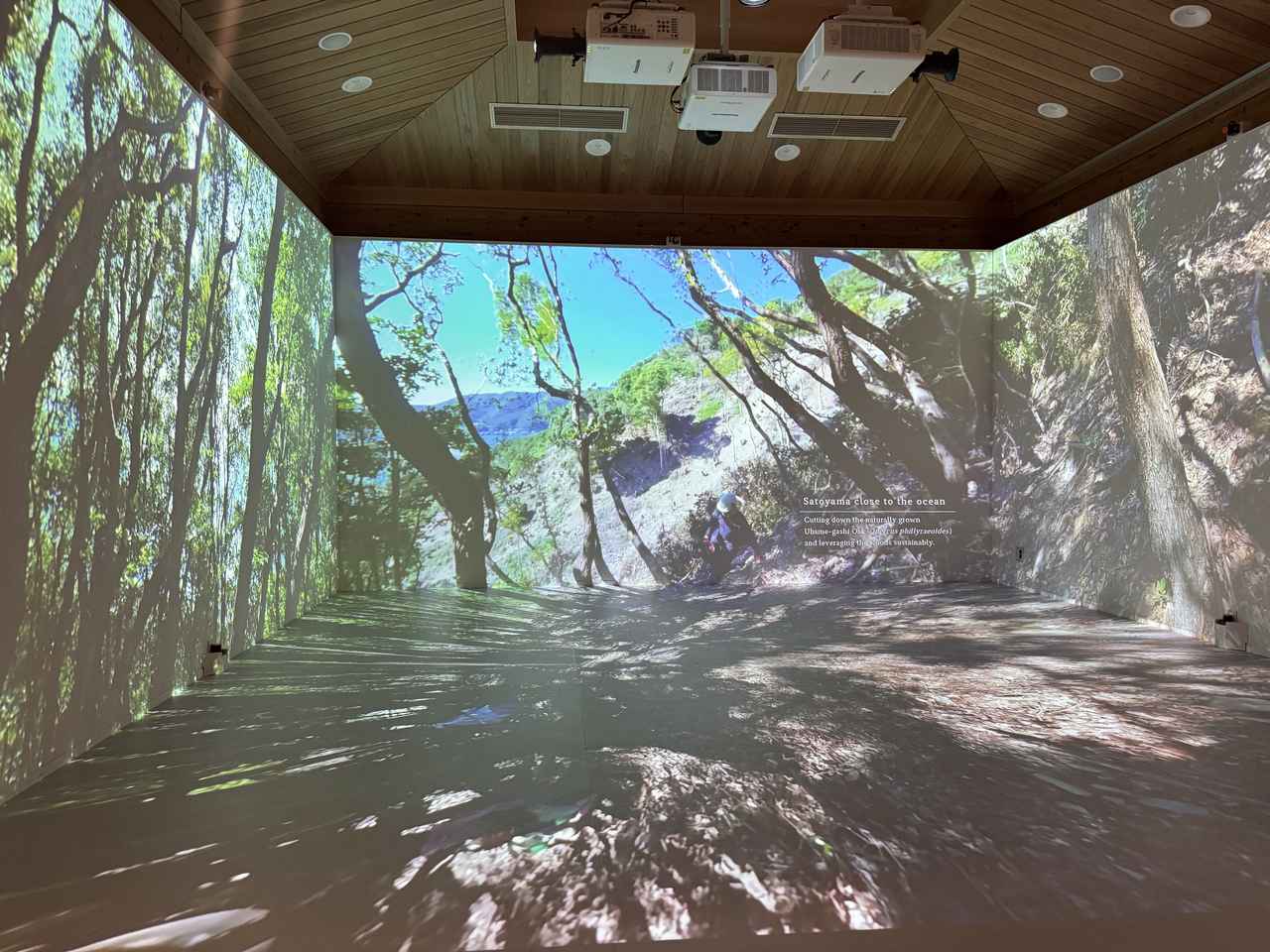 画像11: その自然には、“物語”がある♡海と暮らしと祈りが重なる日本の原風景に触れる旅【伊勢志摩国立公園】