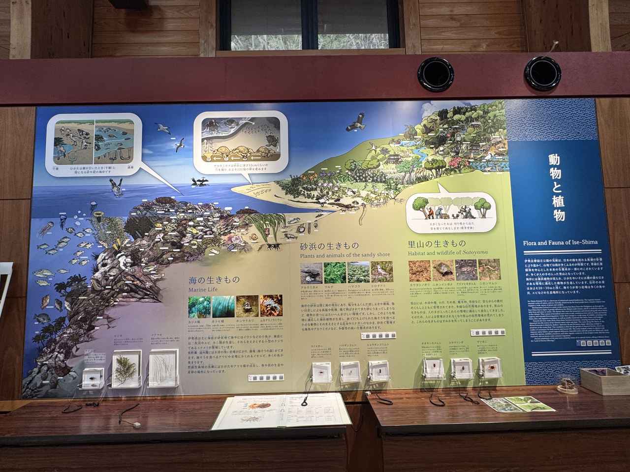 画像2: 横山ビジターセンター