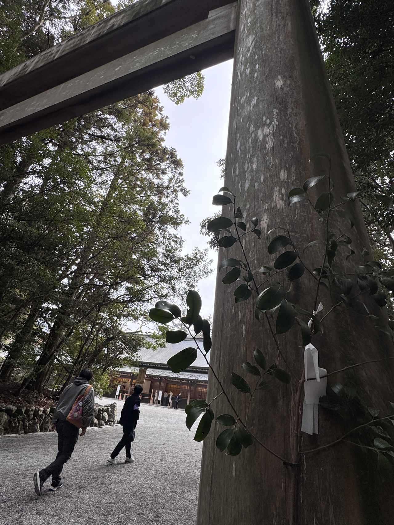 画像23: その自然には、“物語”がある♡海と暮らしと祈りが重なる日本の原風景に触れる旅【伊勢志摩国立公園】