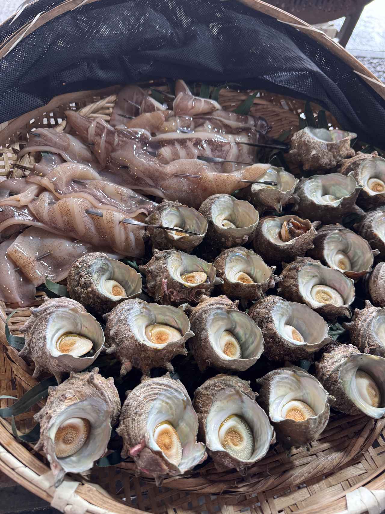 画像29: その自然には、“物語”がある♡海と暮らしと祈りが重なる日本の原風景に触れる旅【伊勢志摩国立公園】