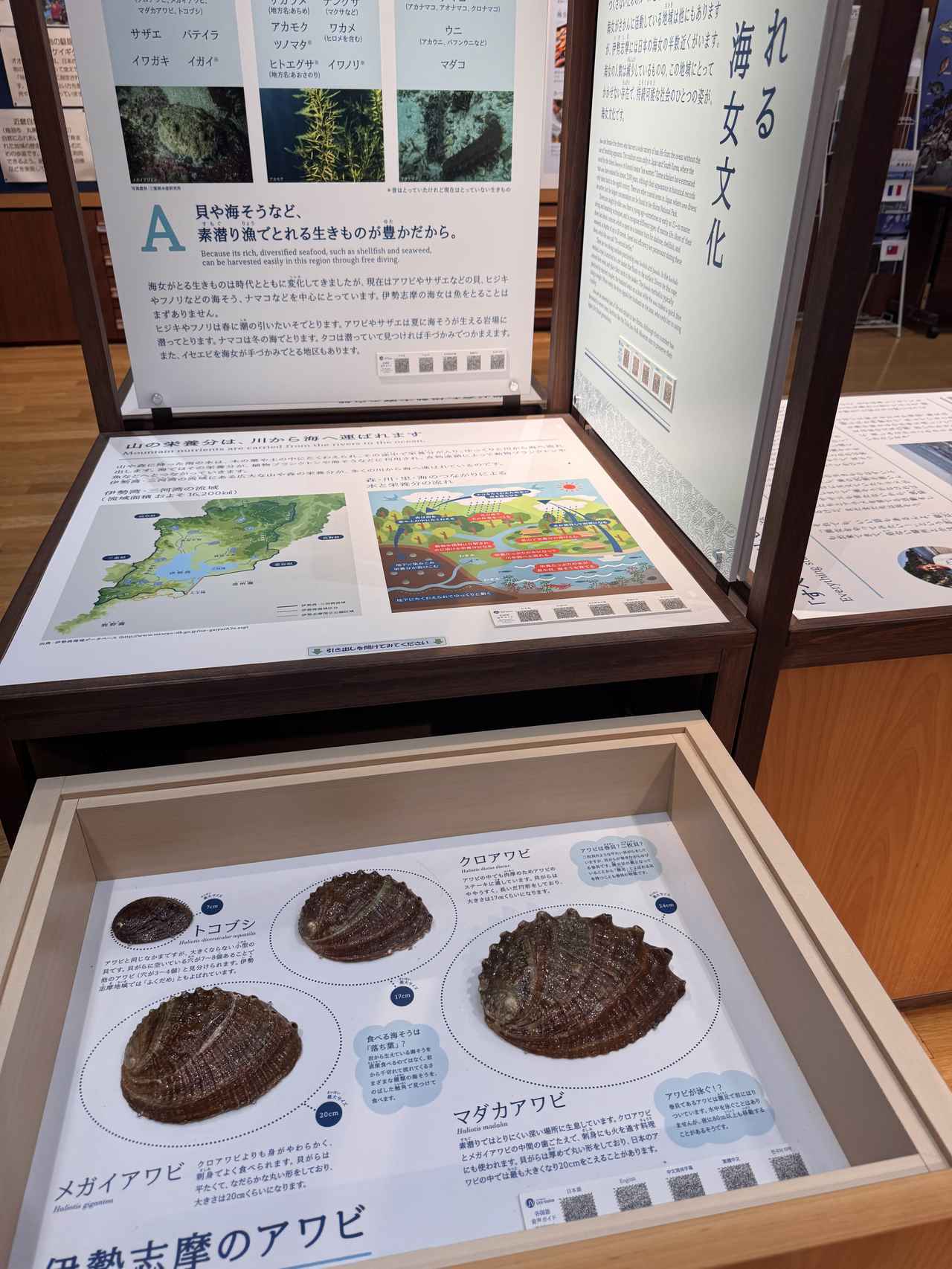 画像3: 横山ビジターセンター