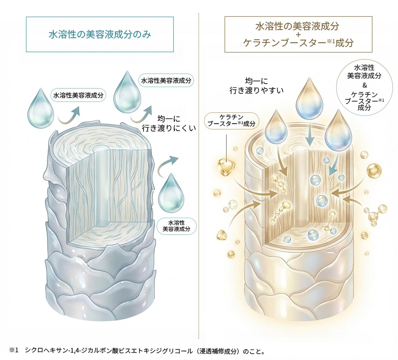 画像: <イメージ>