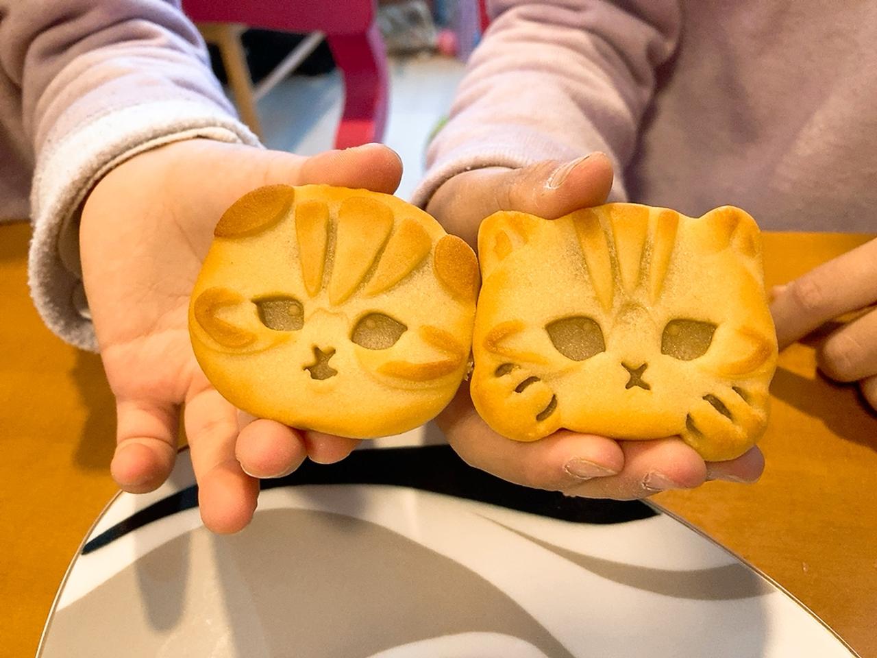 画像10: ねこ派にも、そうじゃなくても！猫の日まであと10日…可愛さにやられる猫アイテム＆猫グルメを揃えよう♡