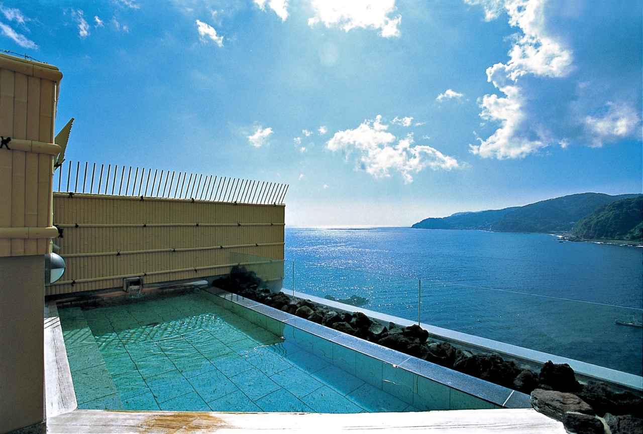 画像1: ■ 南館は「伊豆の森」 （Forest Color）