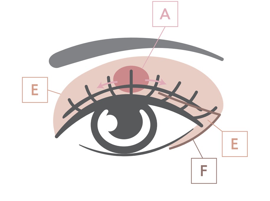 画像2: 涙袋メイクがもっと上手くなる♡Wonjungyo“ピーチモカ”の新色パレット＆専用ブラシ2種も同時発売！