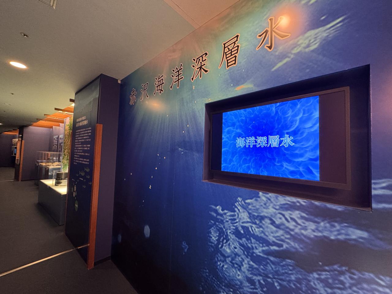 画像22: 海と森に抱かれる伊豆の癒し旅♡「赤沢温泉ホテル」&「赤沢日帰り温泉館」同時リニューアル！