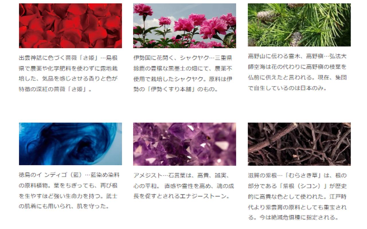 画像2: 天然色素で“魅力”を引き出す♡アムリターラ ✖ 菊地美香子「amritara youniverse」2026年3月3日デビュー!