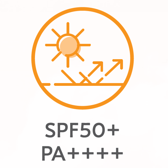 画像2: 【セザンヌ】薄膜カバーでつるんと艶肌が続く、美容液発想「セザンヌセラムクッションファンデーション」新登場！