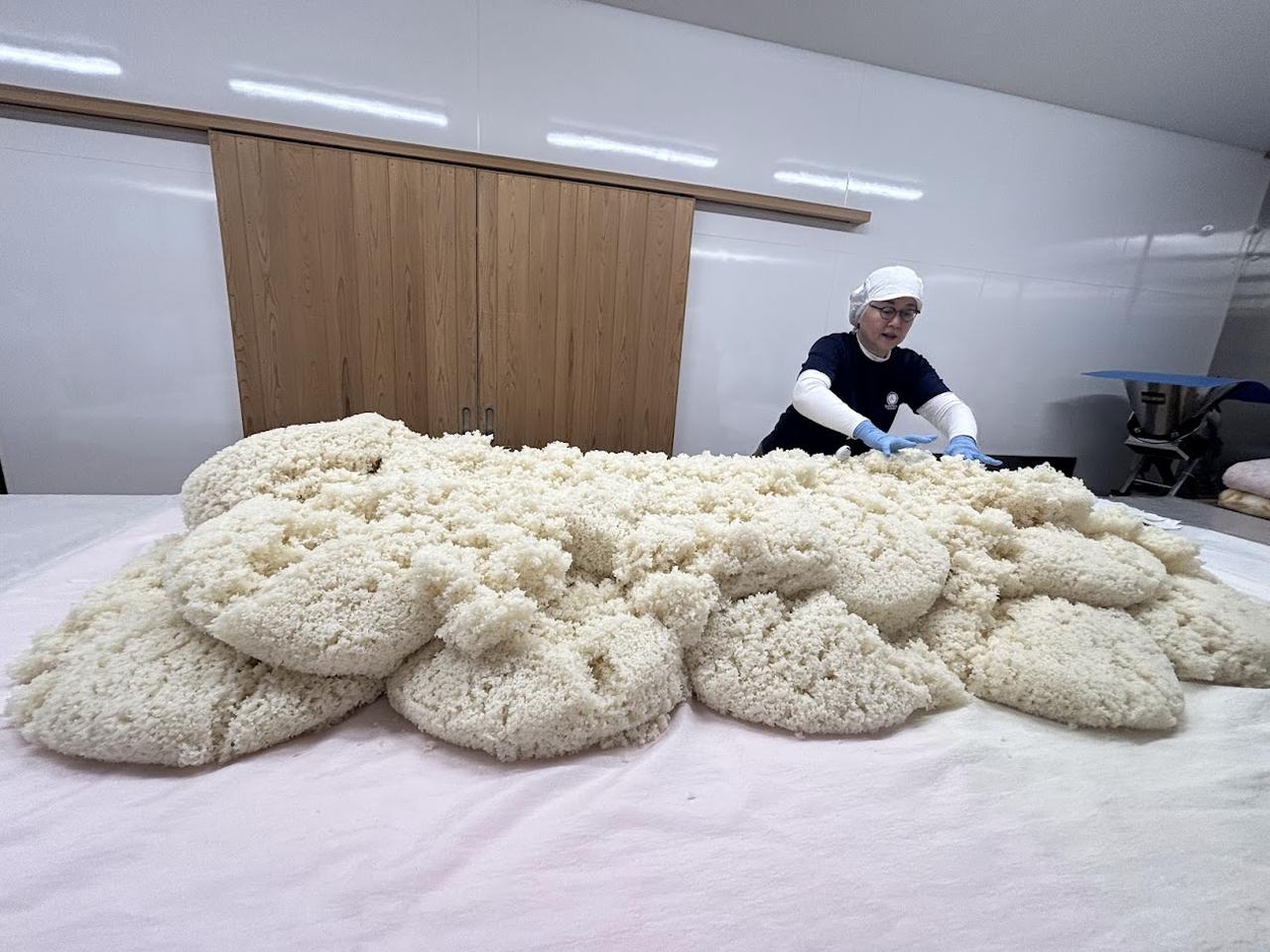 画像1: 【極】水ト米ト人で醸す一本の酒コース 蔵人体験！　220,000円（税込）