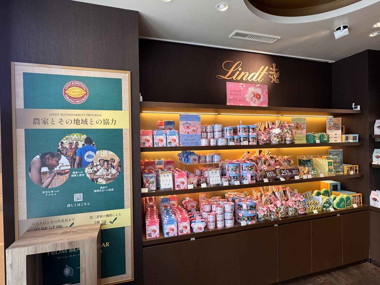 画像2: 花びらチョコが舞う、心ときめく季節限定ドリンク♡『SAKURAショコラドリンク』