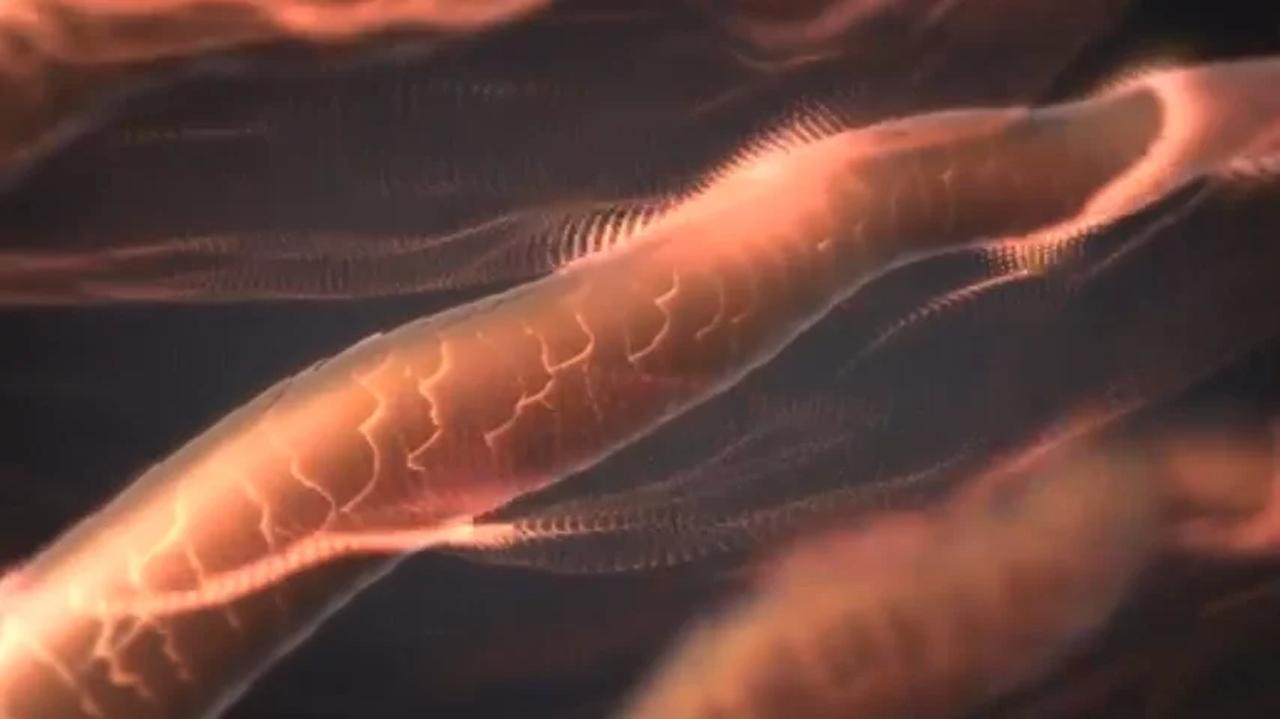 画像: 遠赤外線で、髪の芯までムラなく温める