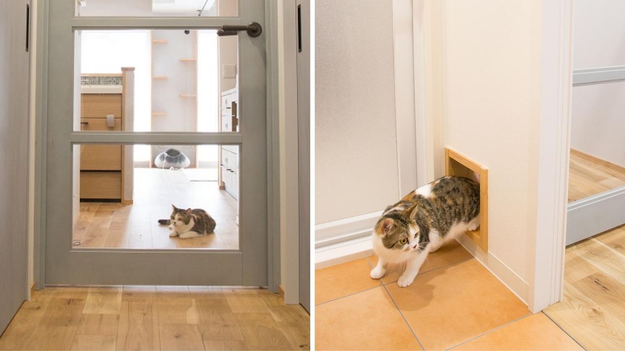 画像: 万全な脱走防止対策