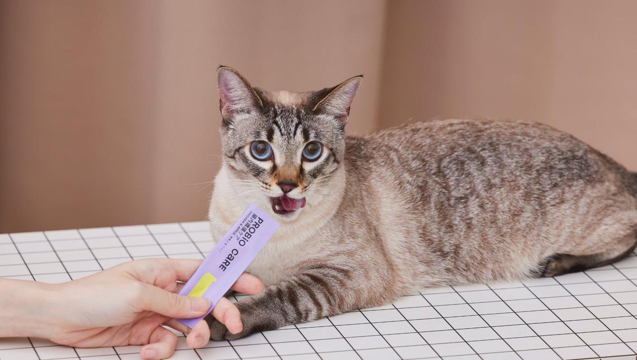 画像: ねこ用ヘルスケア商品の選択肢をもっと身近に