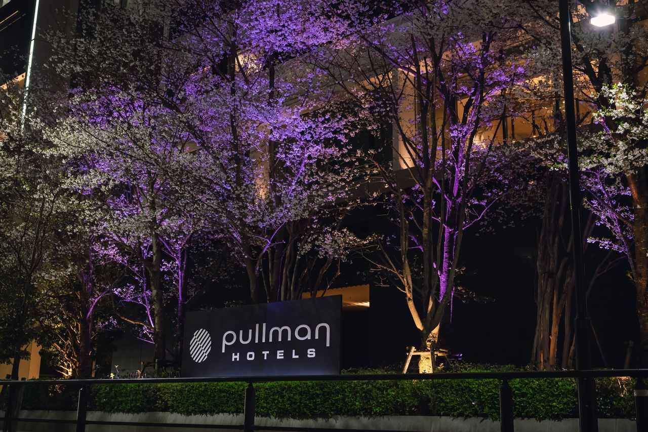 画像1: 桜の見頃にはライトアップも