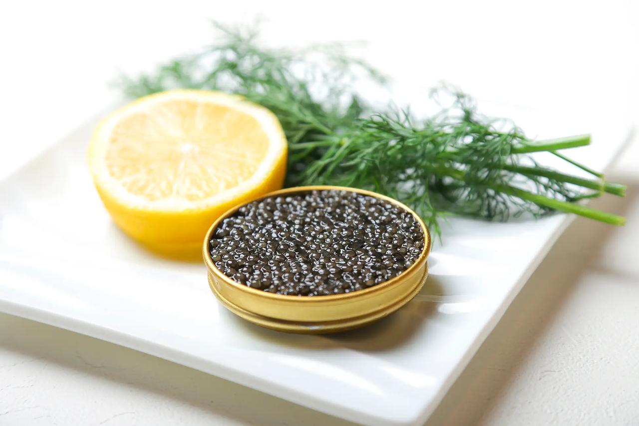 画像: ◇株式会社アーマリン近大／近大キャビア　～和歌山発、未来志向の希少な国産キャビア～ 熊野の山々の清冽な伏流水と、三十年以上にわたる研究が結実した近大キャビア。採取したての魚卵を岩塩のみで仕上げ、加熱も防腐剤も用いない製法により透明感ある旨味と、とろける食感を実現しました。自然と科学が静かに調和する、日本発のラグジュアリーキャビアです。