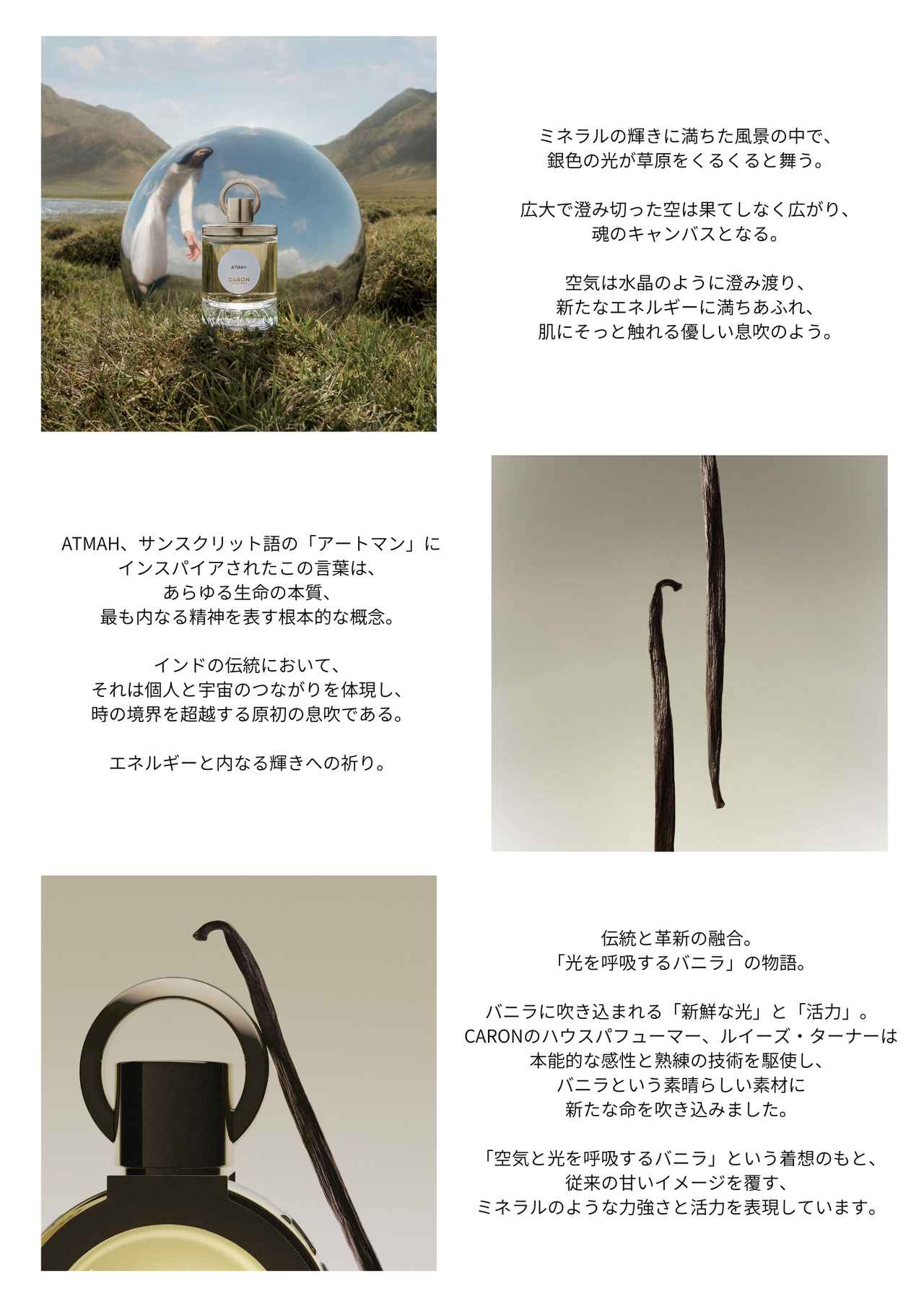 画像: 甘さから解放された、洗練のバニラ