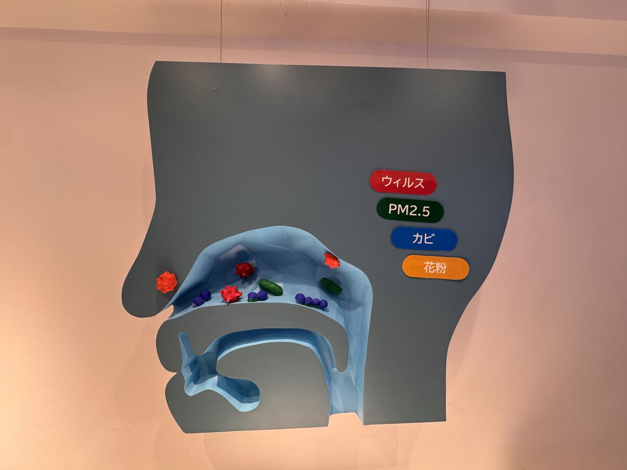 画像6: 渋谷で花粉をリセット♡「サイナス・リンスLab.」で鼻うがいデビュー！