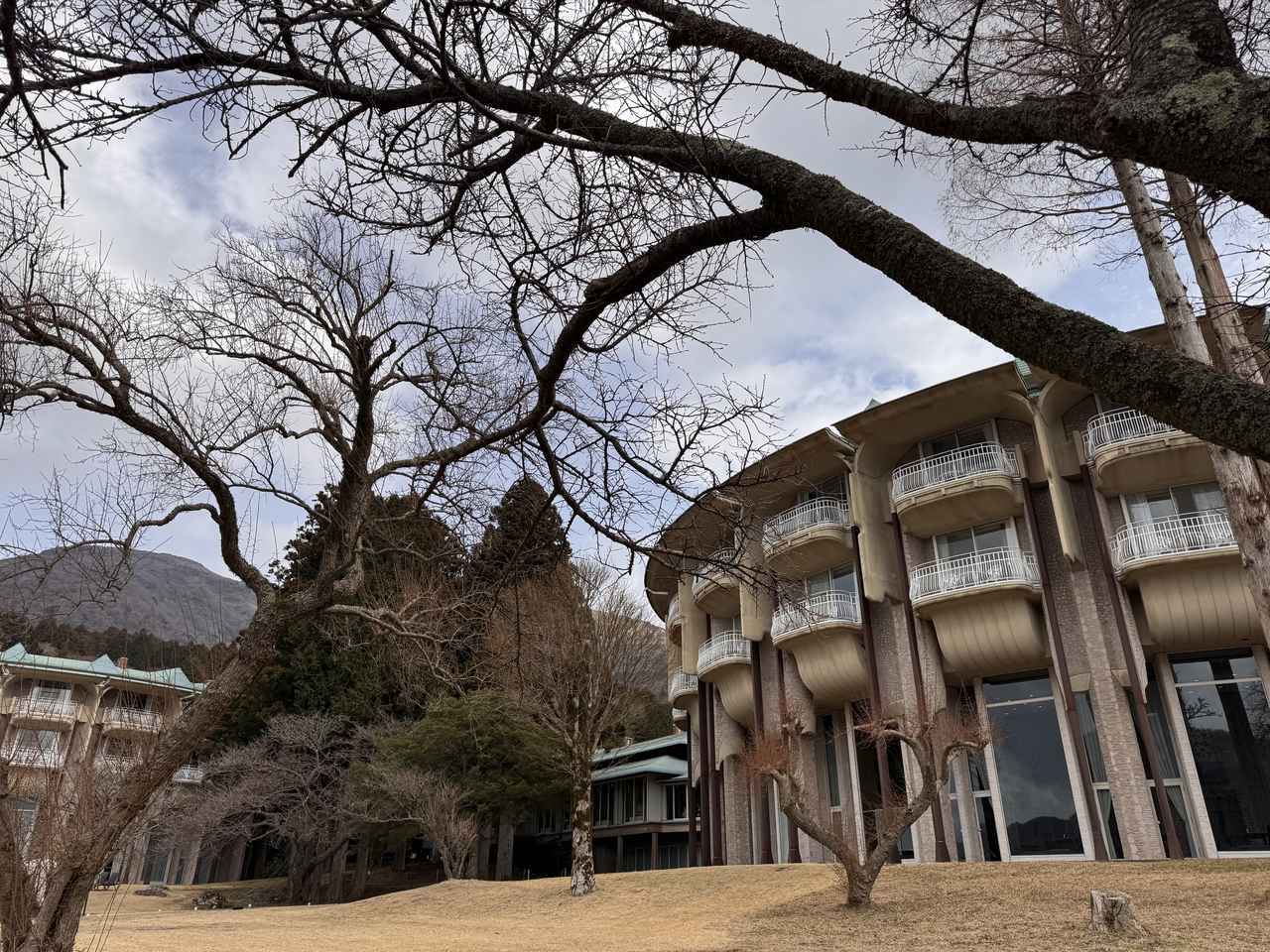 画像8: 芦ノ湖の春をまるごと味わうご褒美ステイ♡「ザ・プリンス 箱根芦ノ湖」