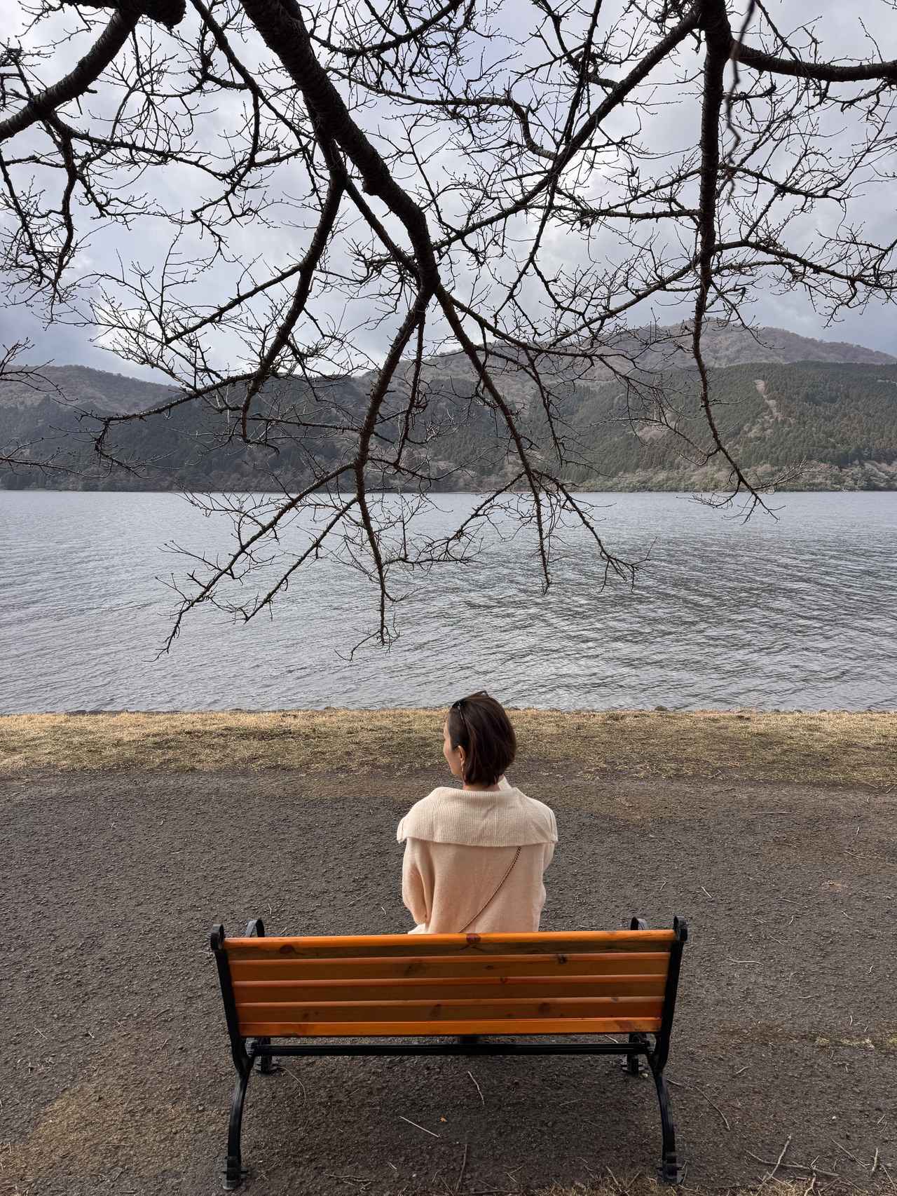 画像: 桜の木の下で、満開を想像しながら楽しむお散歩時間