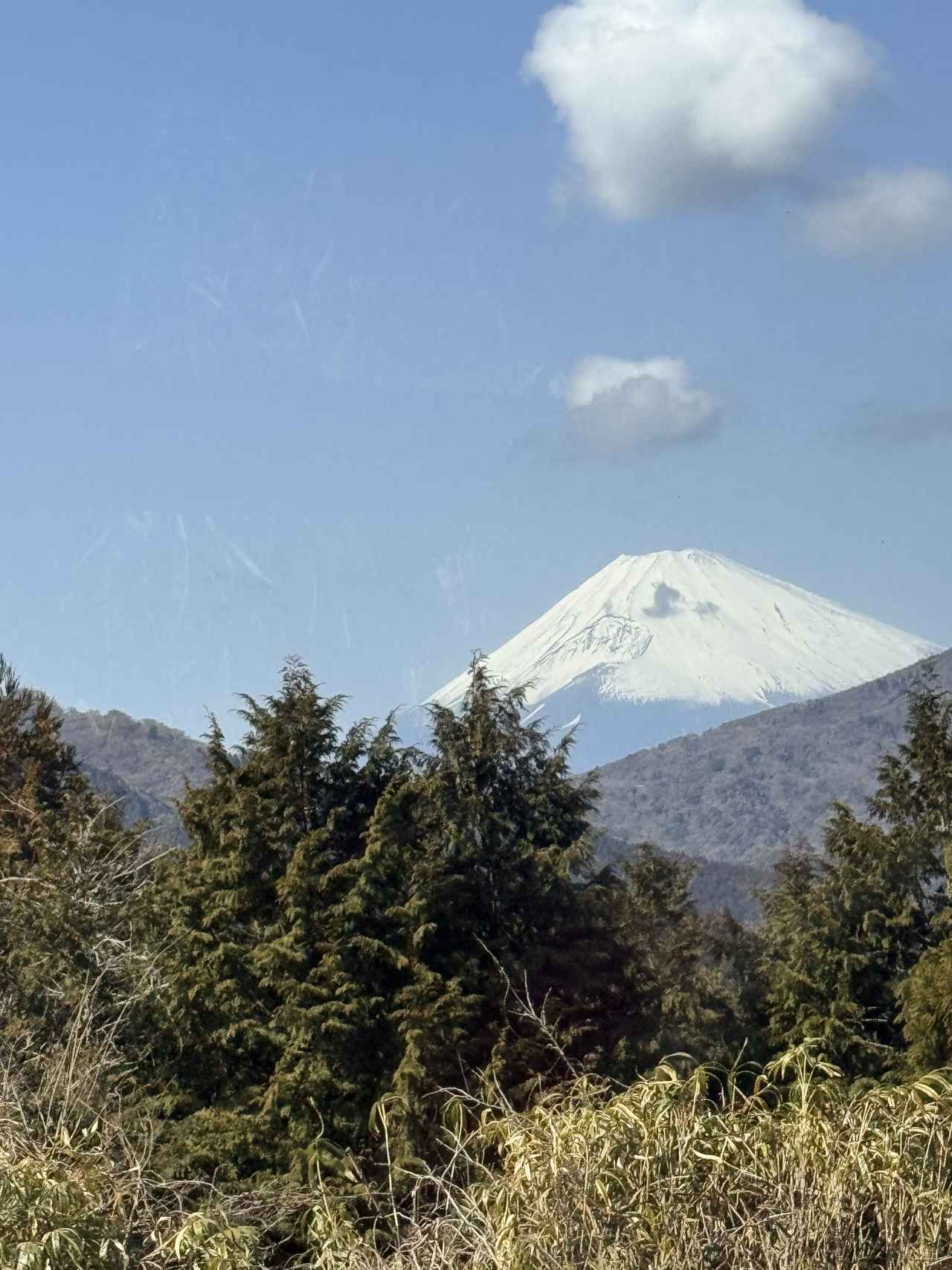 画像: 天気がいいと荘厳な富士山の景観も楽しめます。