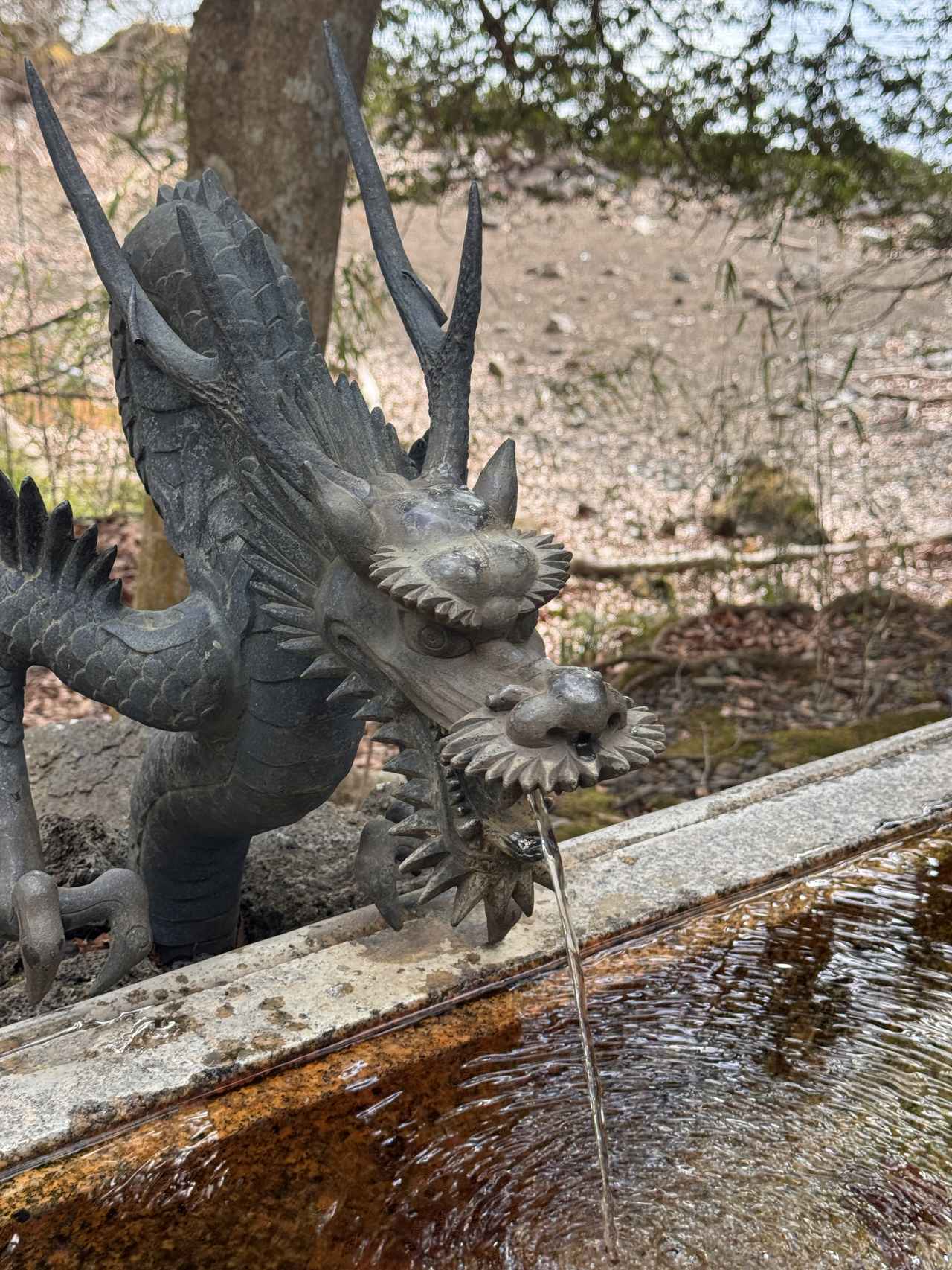 画像19: 芦ノ湖の春をまるごと味わうご褒美ステイ♡「ザ・プリンス 箱根芦ノ湖」