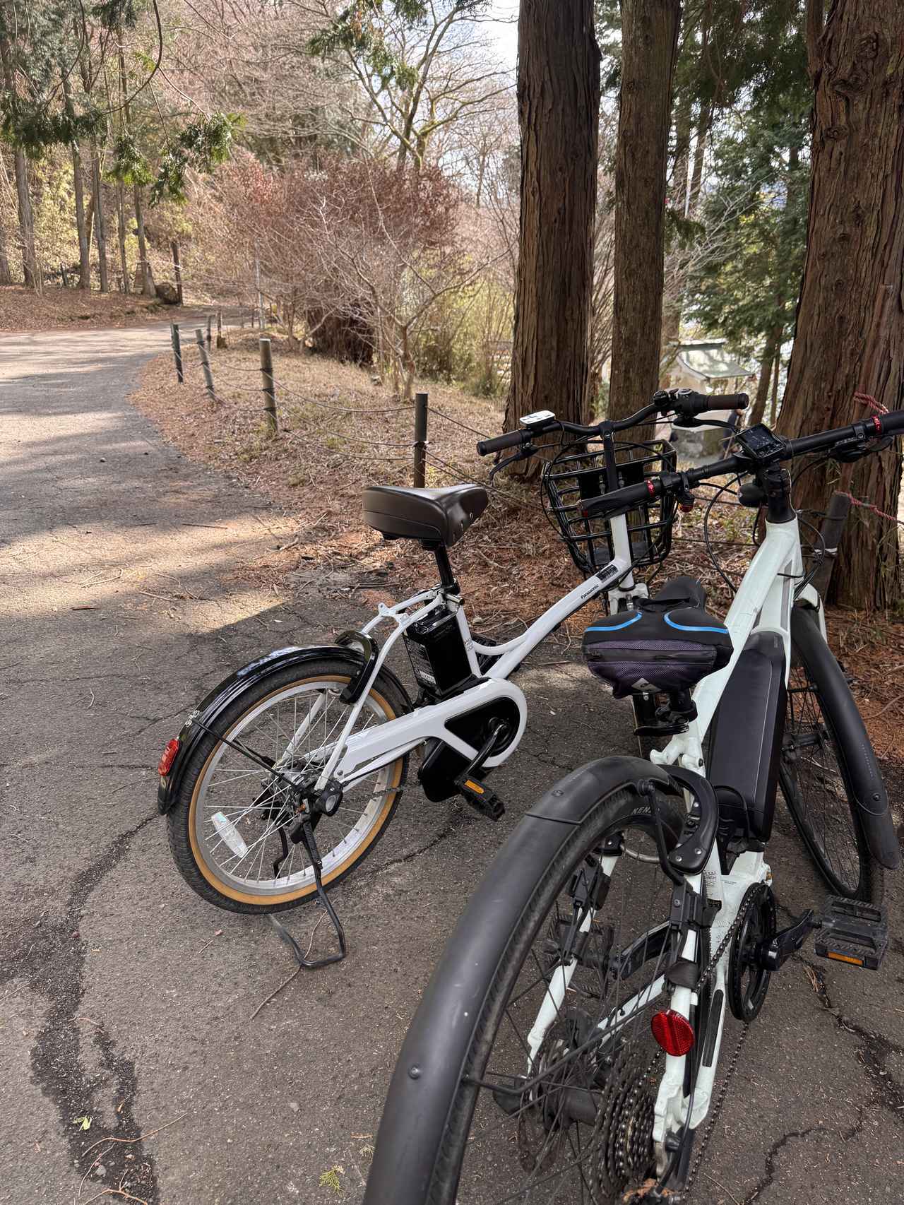 画像16: 芦ノ湖の春をまるごと味わうご褒美ステイ♡「ザ・プリンス 箱根芦ノ湖」