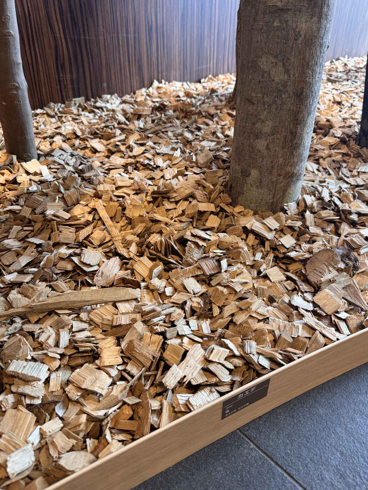 画像2: 北海道の“雪景色”に包まれる新客室へ♡【ホテルグレイスリー札幌】ロビー・ラウンジ・客室を全面リニューアル