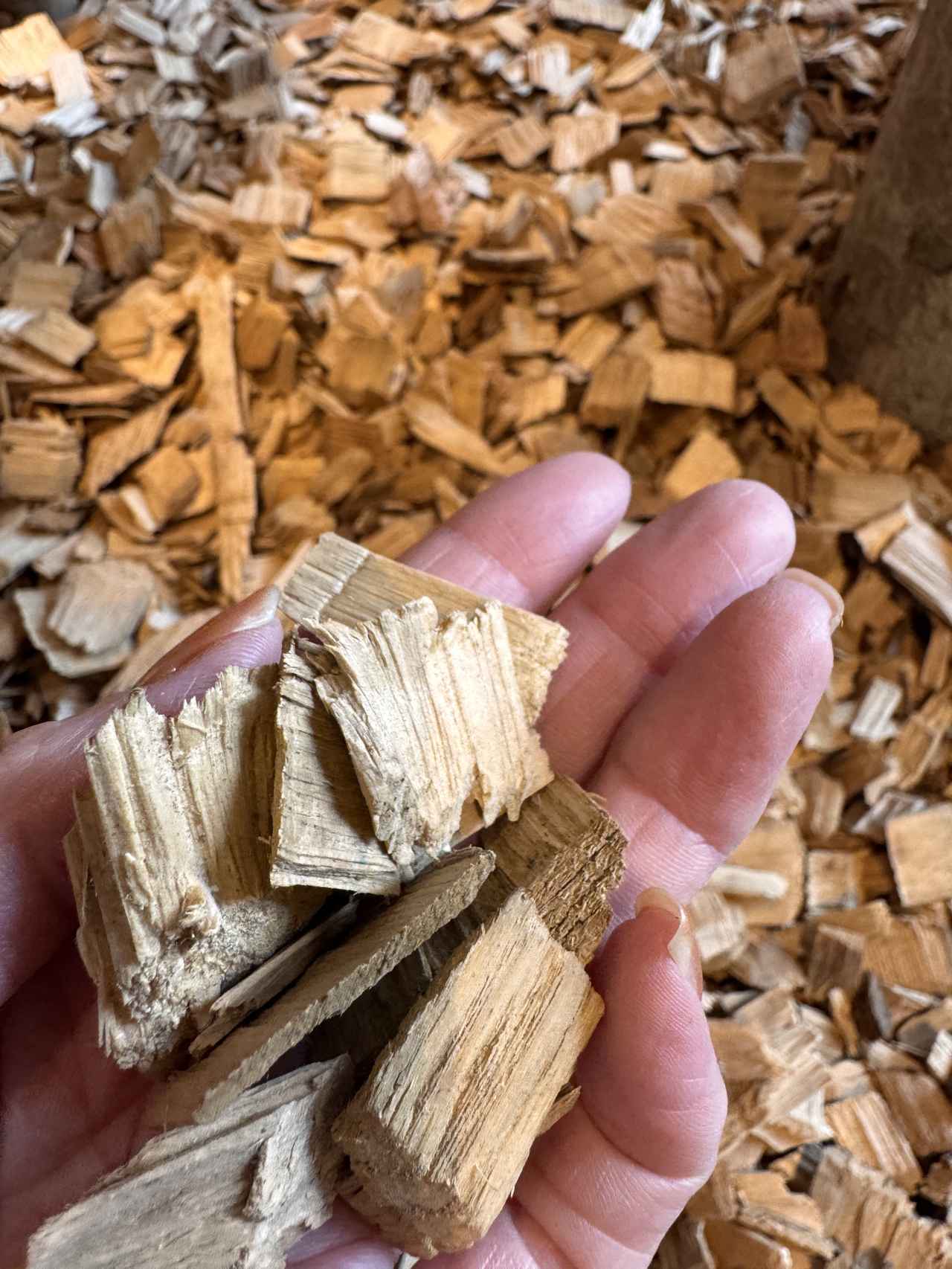 画像1: 北海道の“雪景色”に包まれる新客室へ♡【ホテルグレイスリー札幌】ロビー・ラウンジ・客室を全面リニューアル