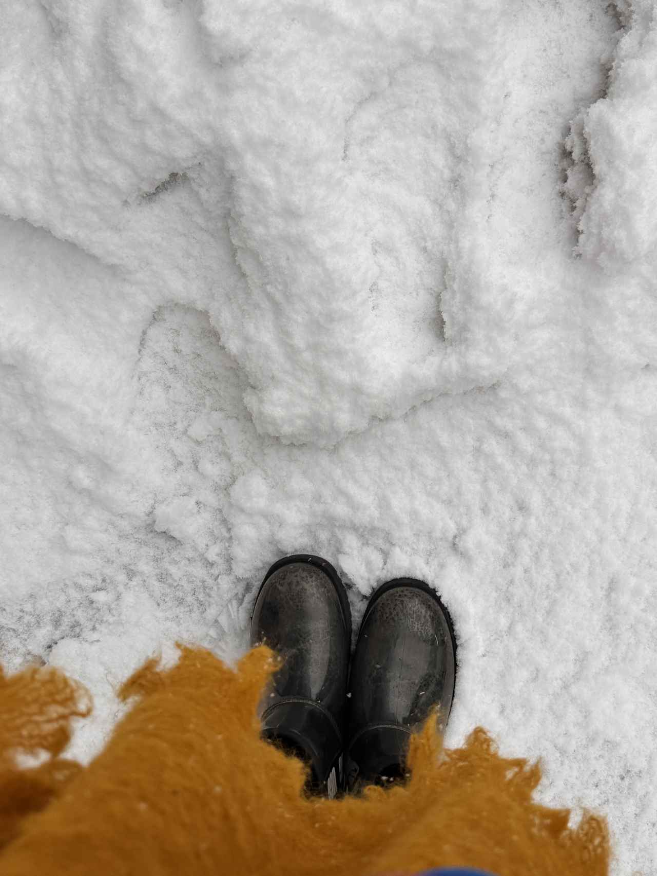 画像: ふわふわの粉雪