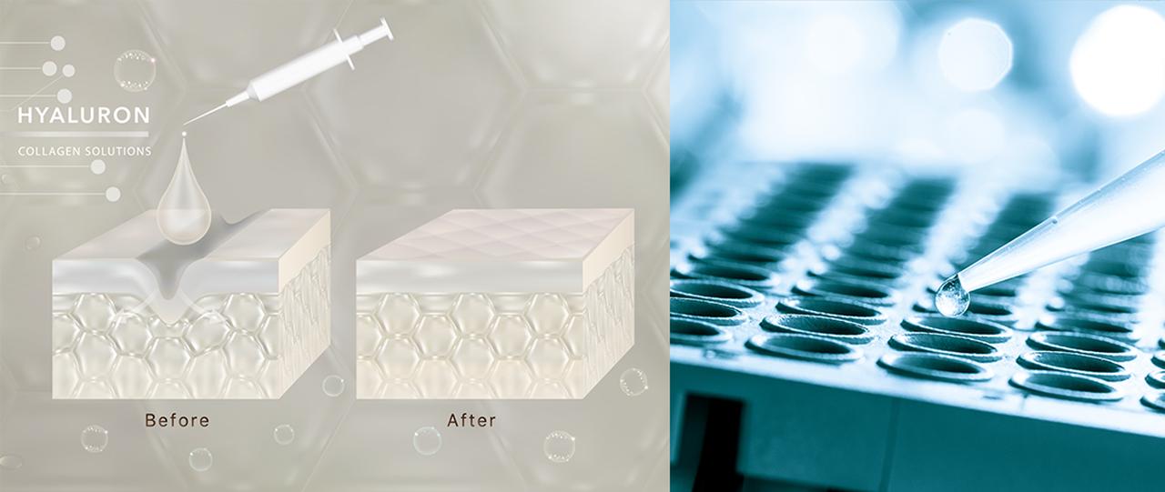 画像: 先端医療再生技術“ FUSICA"(不死化)