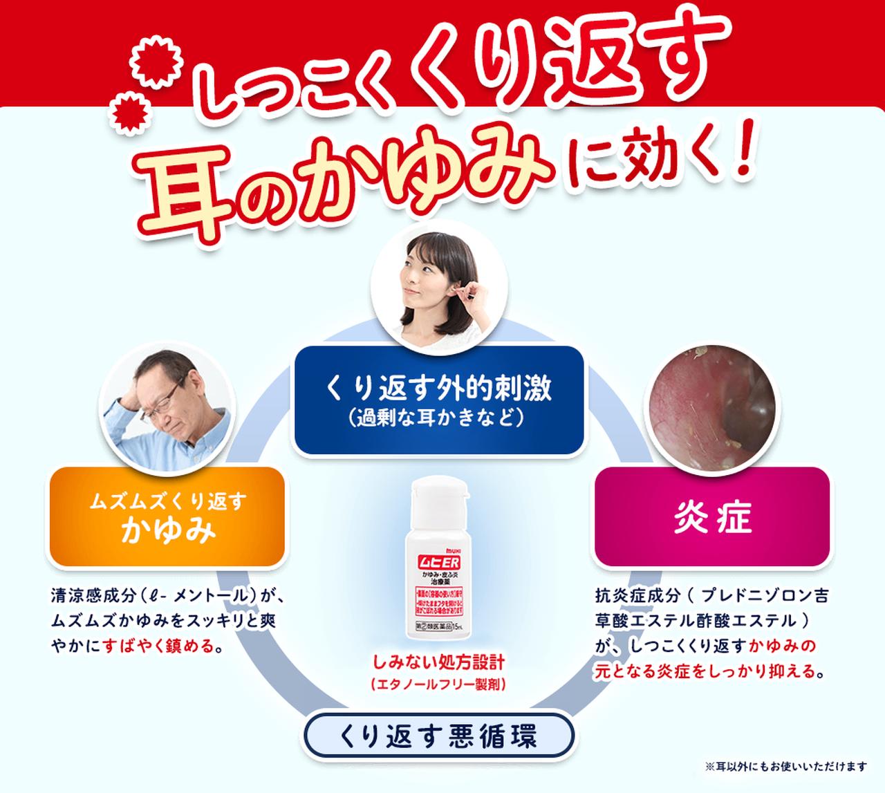 画像3: www.ikedamohando.co.jp