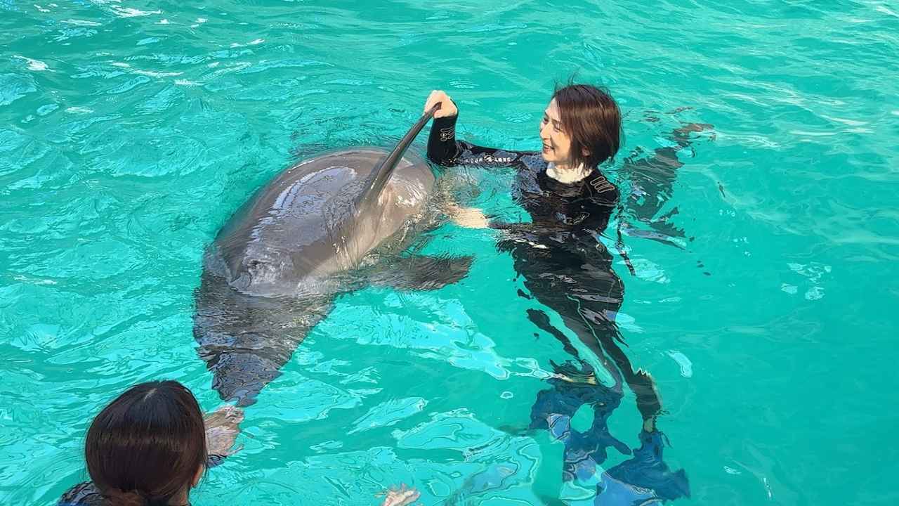 画像2: 2026年3月25日開業1周年を迎える「ノア ドルフィンドーム」