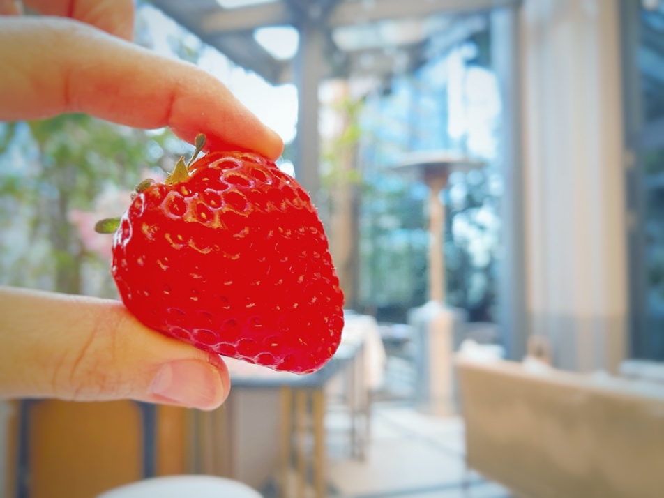 画像3: ホテルテラスでお花見気分♡春だけの特等席で、ストロベリースイーツビュッフェ付きのランチタイムはいかが？