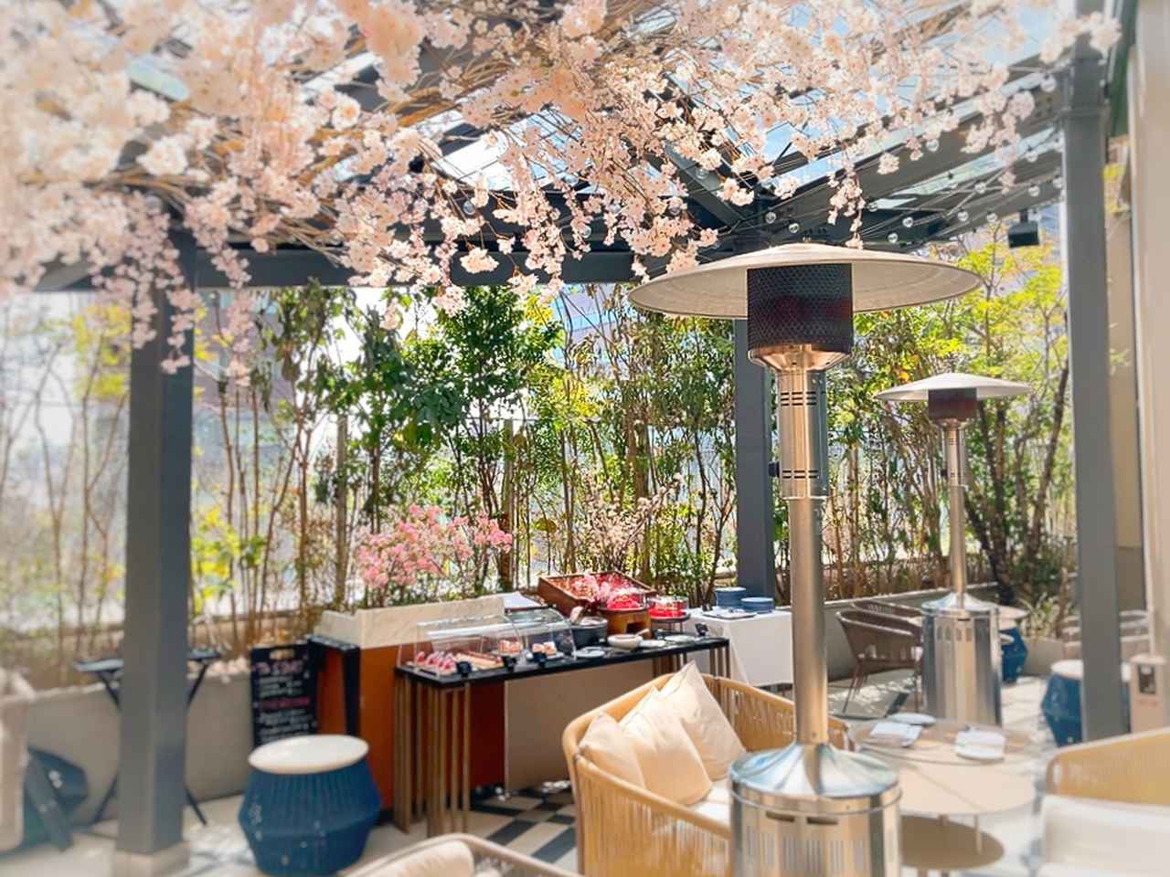 画像2: 春空テラスで優雅にお花見