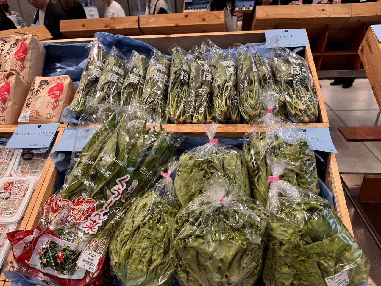 画像1: ユナイテッドアローズに“境町の春”がやってくる！旬の野菜、特産品、限定ジェラートまで楽しめるポップアップマルシェ開催**