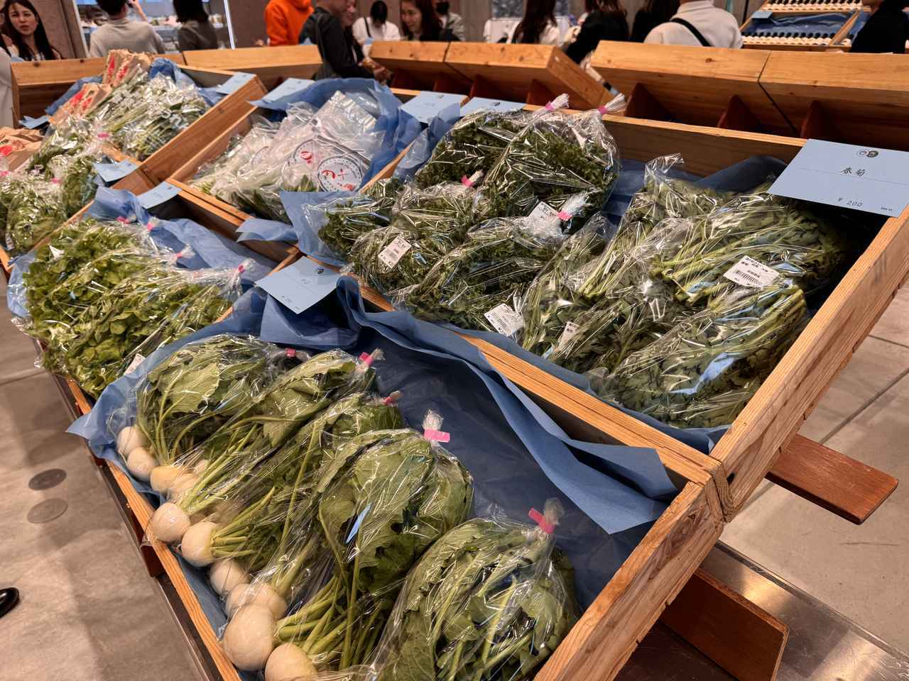 画像2: ユナイテッドアローズに“境町の春”がやってくる！旬の野菜、特産品、限定ジェラートまで楽しめるポップアップマルシェ開催**