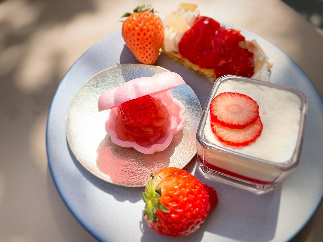 画像1: お花見気分が最高…！