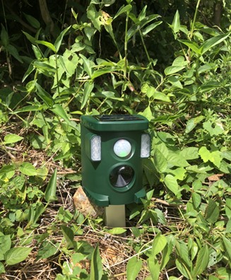 画像1: Temuの口コミが商品開発を加速　クマ避けグッズ誕生へ、園芸用品ECの新戦略