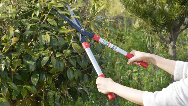 画像2: Temuの口コミが商品開発を加速　クマ避けグッズ誕生へ、園芸用品ECの新戦略