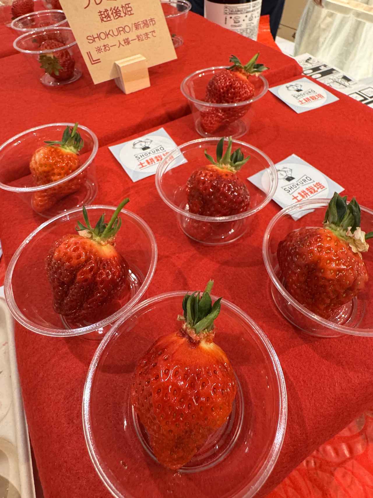 画像1: 銀座で“幻のいちご”越後姫を味わい尽くす3日間♡「2026 越後姫ストロベリーパーク in THE NIIGATA」開催